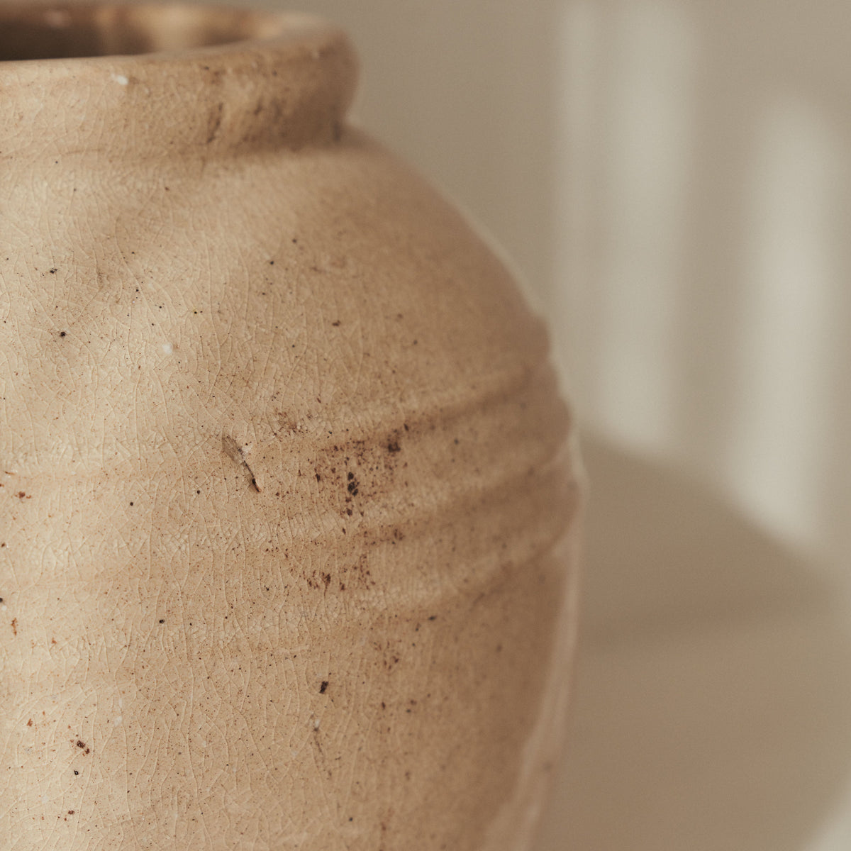 Cyra - Beige Gloss Ceramic Vase