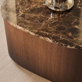 Arlo - Dark Emperador Irregular Dark Wood Premium Coffee Table