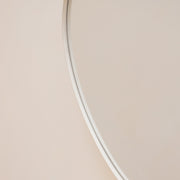 Ecru metal pond shaped irregular wall mirror closeup